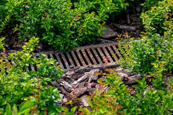 Underground Drainage Service in Millsboro