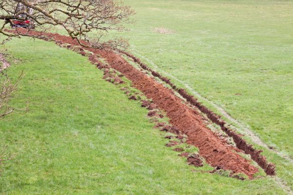 Cost of Swale Installation in Millsboro