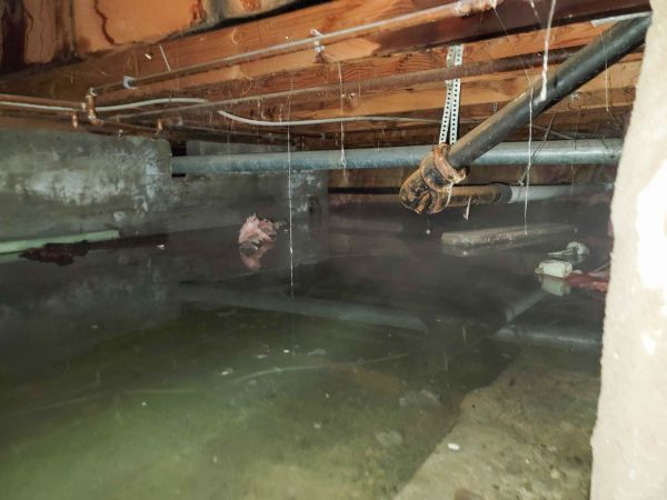 Cost of Crawlspace Drainage in Millsboro
