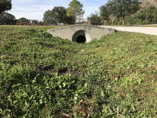 Cost of Swale Drainage Service in Millsboro